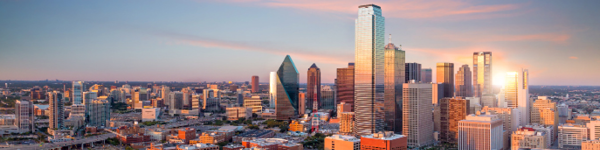NASPP Event - Dallas Southwest Regional Summit - 600x150 Southwest Regional Summit - Dallas