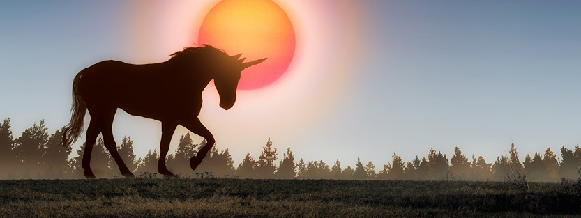 Private Company Unicorns: How Expiring Options are Changing Plan Design - Thumb