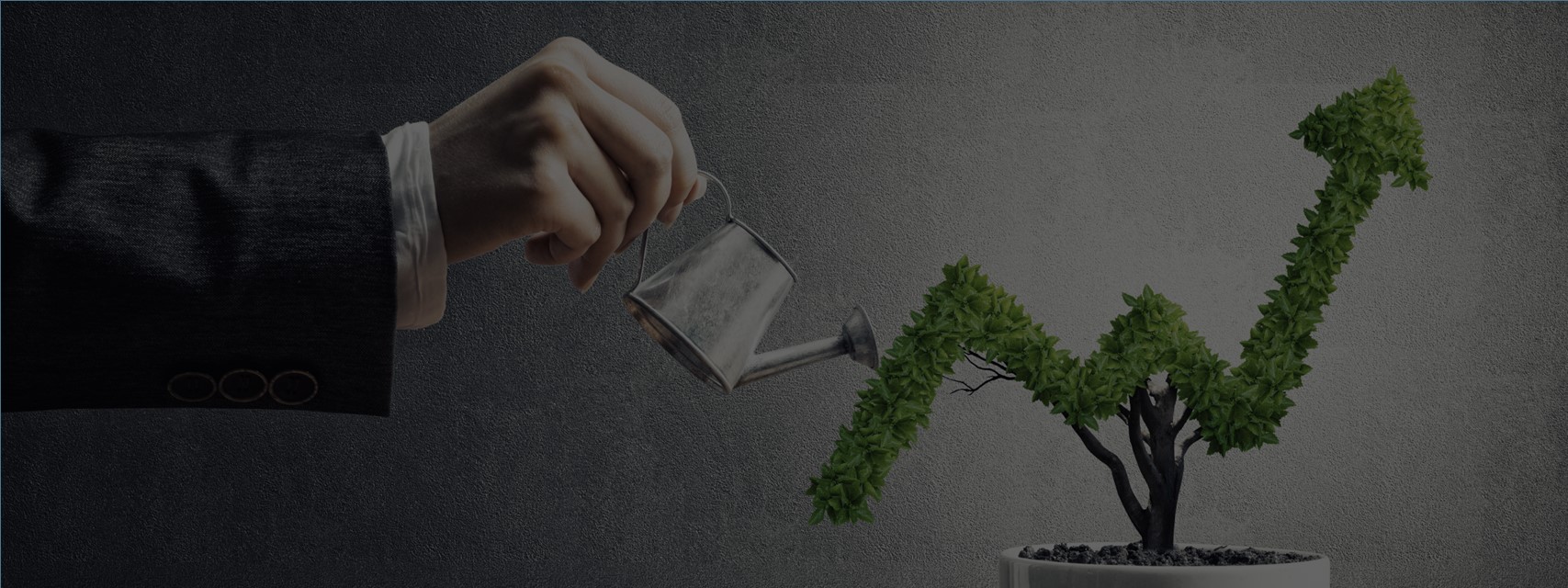 Man watering a plant growing in the shape of a stock price trajectory