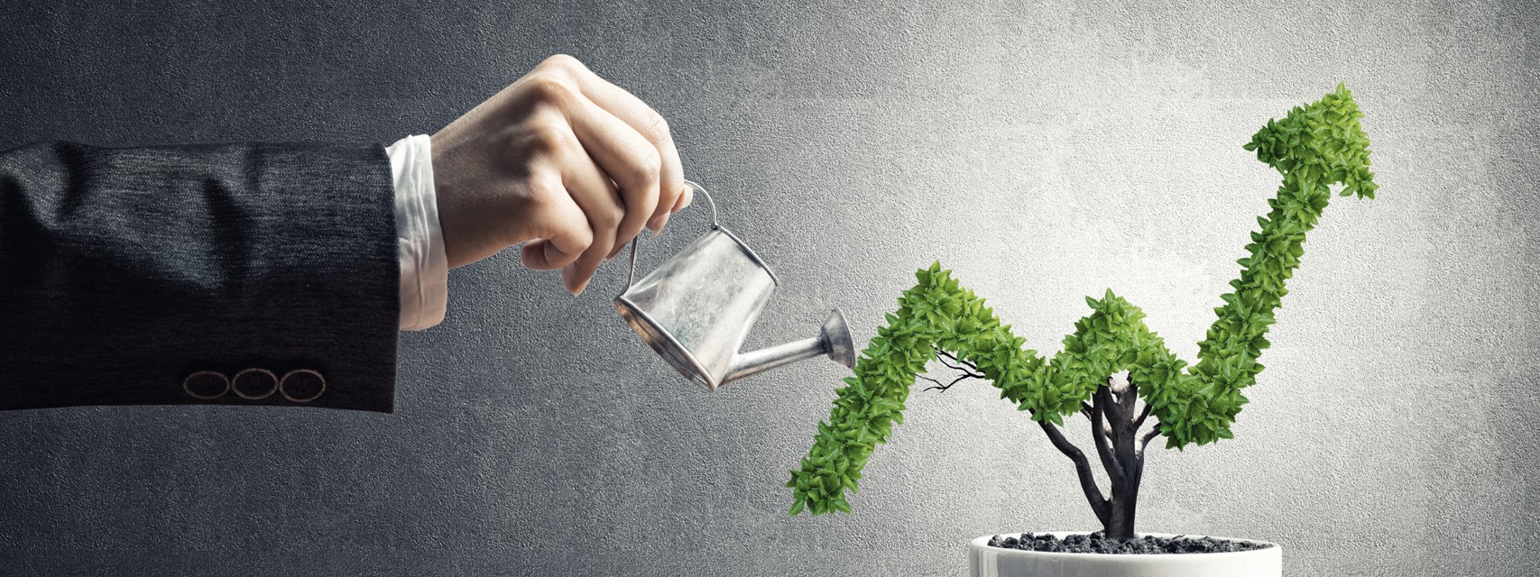 Man watering a plant growing in the shape of a stock price trajectory